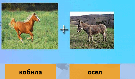 0601mzfv-b811-468x275.png