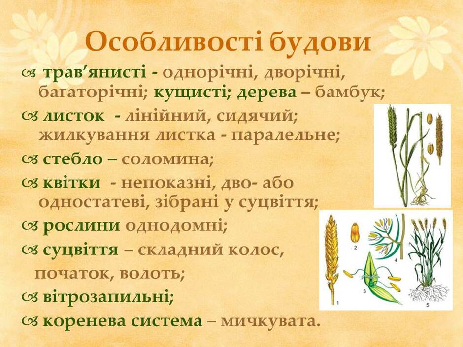 0601n0er-ca2e-940x705.jpg