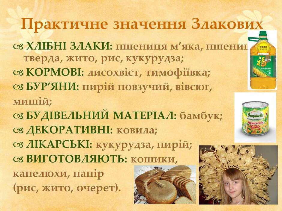 0601n0et-07d2-940x705.jpg