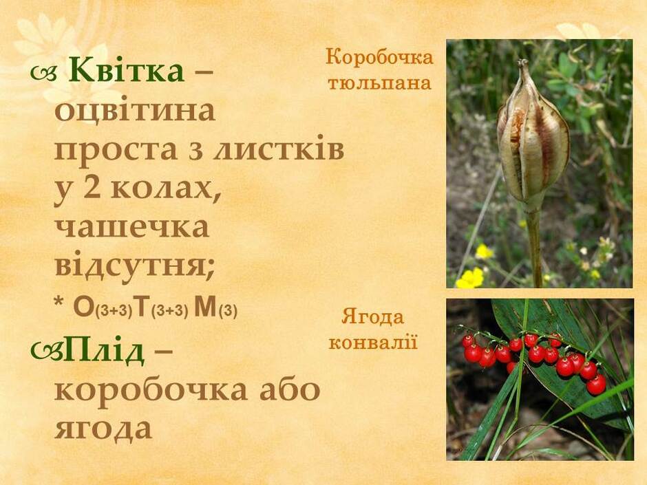 0601n0ex-ad90-940x705.jpg