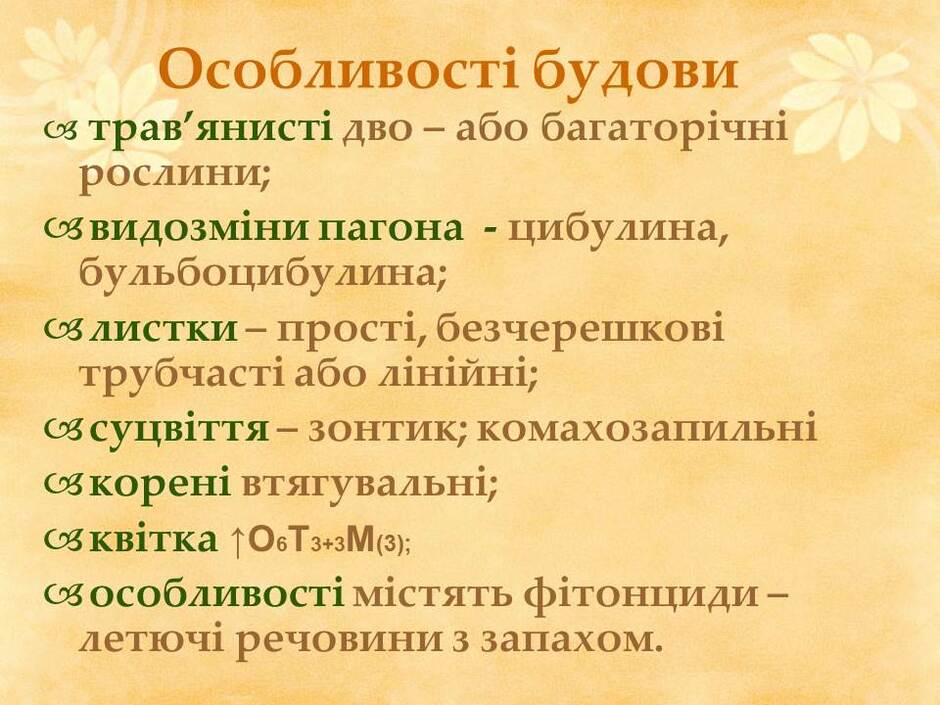 0601n0f1-b0b1-940x705.jpg
