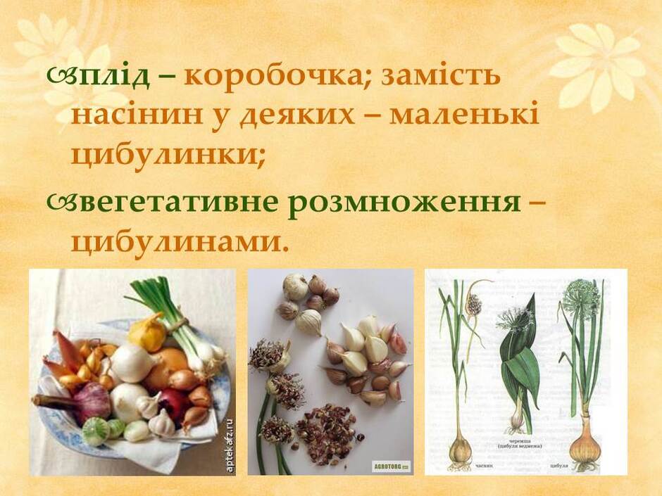 0601n0f2-a4a3-940x705.jpg