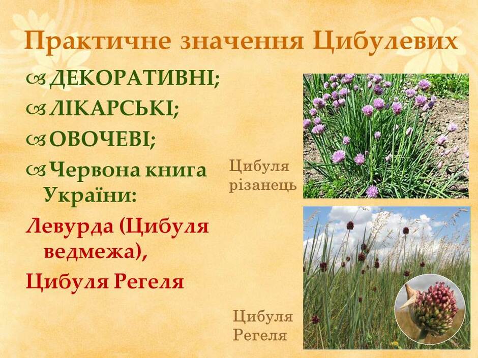 0601n0f3-0a41-940x705.jpg