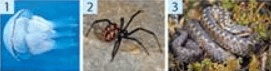 0601n0vp-4b51-271x71.png