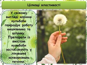 0601n2jh-3046-346x259.jpg