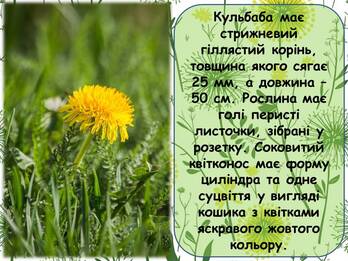 0601n2jl-ee15-348x261.jpg