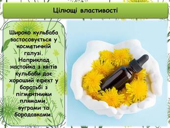 0601n2jn-f9d6-347x261.jpg