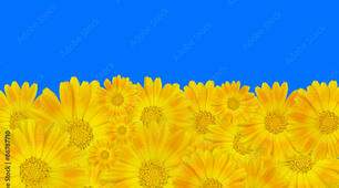 Подорож Україною