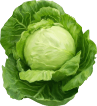 0601n3yz-9dbe-197x215.png