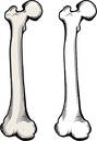0601n46x-c425-89x129.jpg