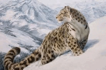 0601n754-e8a8-344x229.png