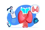 Ендокринолог Науковець Доктор Екзамен Тіроїд Аномальний Ґланд Pineal Organ Endocrine — стокове фото