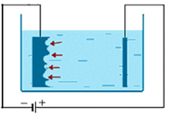 0601nacl-6c24-216x147.png