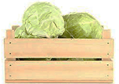 0601nawv-fc39-234x165.png