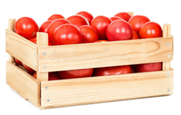 0601naxz-45d0-260x165.png
