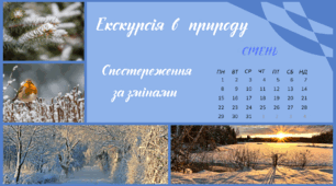 Екскурсія в природу. СІЧЕНЬ. Спостереження за змінами в довкіллі
