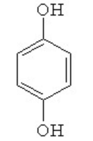 0601nhex-6659-309x470.jpg