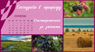 Екскурсія в природу. СЕРПЕНЬ. Спостереження за змінами в довкіллі