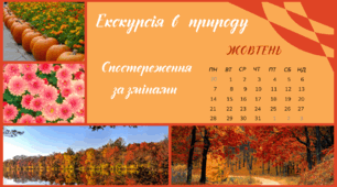 Екскурсія в природу. ЖОВТЕНЬ. Спостереження за змінами в довкіллі