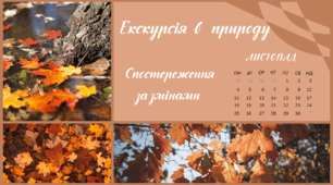 Екскурсія в природу. ЛИСТОПАД. Спостереження за змінами в довкіллі