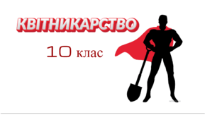 Як влаштуватися на роботу? 