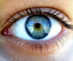 0601nnyo-7d79-246x206.jpg