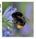 0601no9h-a401-108x118.png