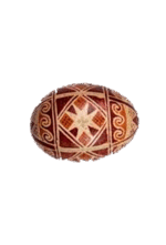 0601npn5-f1ff-150x221.png