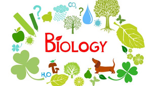 Контрольна робота з біології за ІІ семестр. 📚🧠📝💚Біологія та екологія . 10 клас