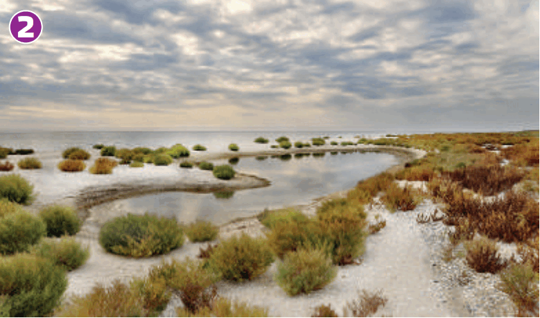 0601npp9-af84-779x459.png