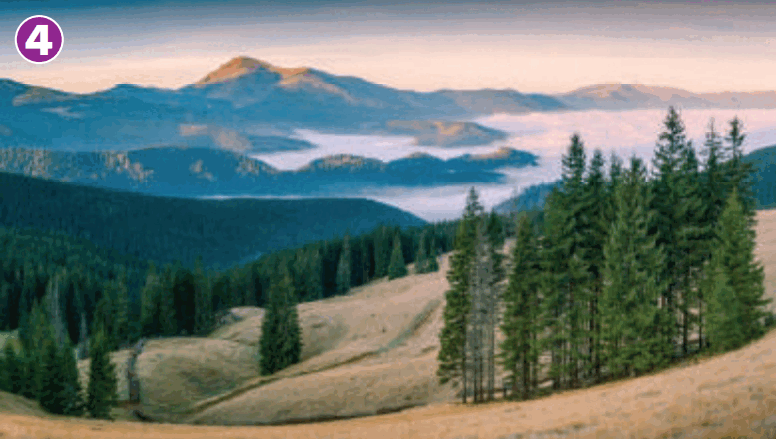 0601npqh-7cdd-776x441.png