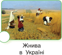 0601nqh6-fa49-346x304.png
