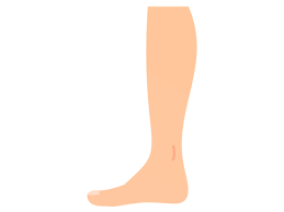 0601nte4-0e0e-259x194.png
