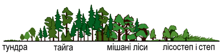0601ntzt-6575-940x229.png