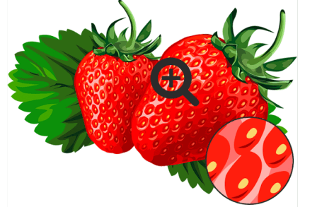 0601nxdn-7e68-472x293.png