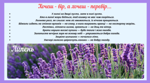Рубрика "Хочеш - вір, а хочеш - перевір..." ЛИПЕНЬ(варіант 2)