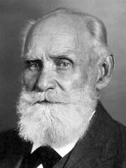 0601o184-d1a3-178x238.jpg