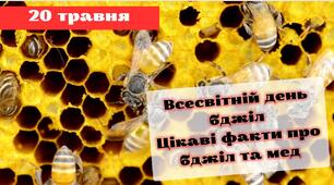 Презентація "20 травня - Всесвітній день бджіл. Цікаві факти про мед та бджіл"