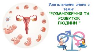 Узагальнення знань з теми: "РОЗМНОЖЕННЯ ТА РОЗВИТОК ЛЮДИНИ "