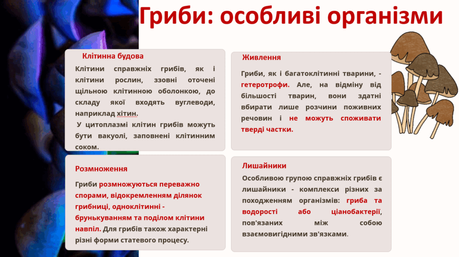 0601o6rg-38ff-940x527.png