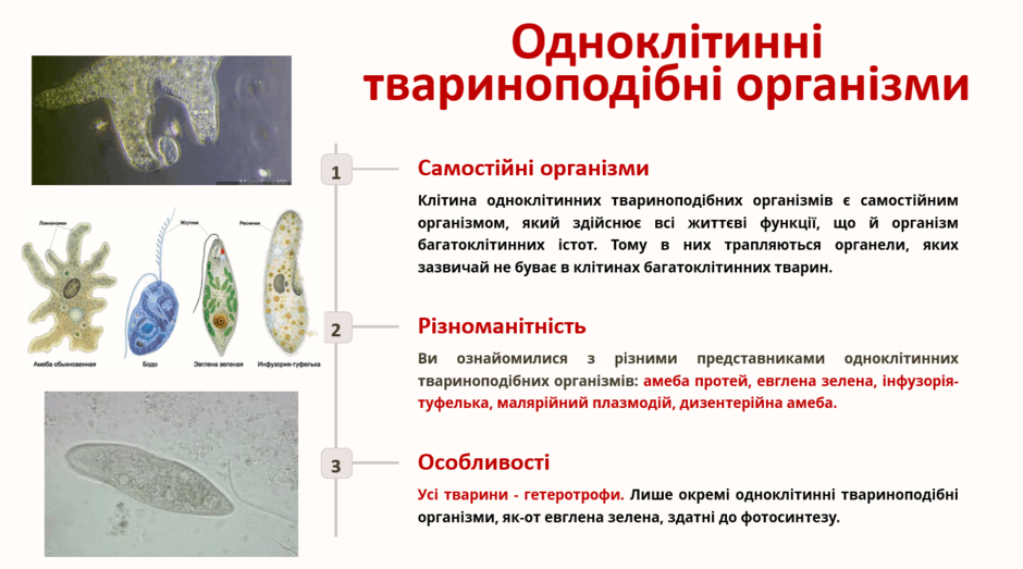 0601o6rh-e669-940x523.png