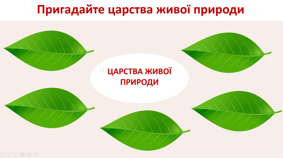 0601o6ri-0e5d-940x526.png
