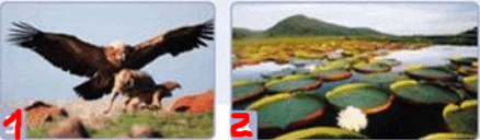 0601oc6t-7be2-438x128.png