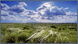 0601oeld-4ba4-273x156.png