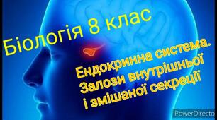 Ендокринні залози