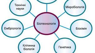 Огляд традиційних біотехнологій. Основи генетичної та клітинної інженерії