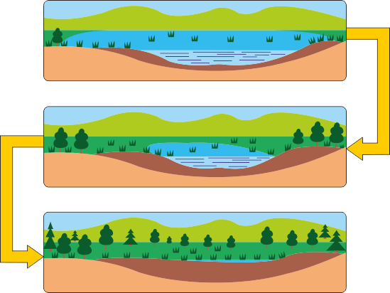 0601oid7-5dfe-549x412.png