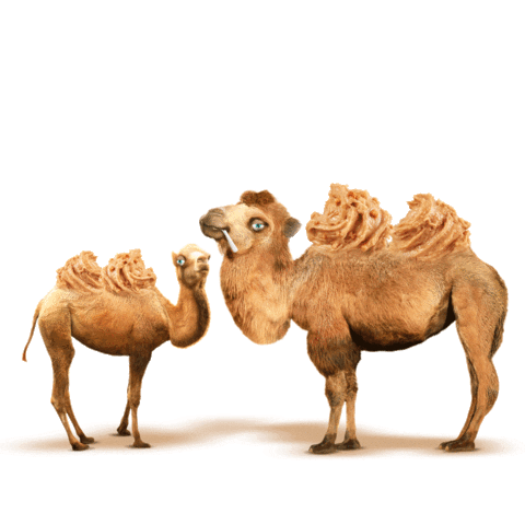 0601oihm-989c-480x480.png
