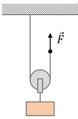 0601omuj-5560-269x413.png