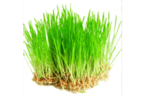 0601ounb-e71a-210x140.png